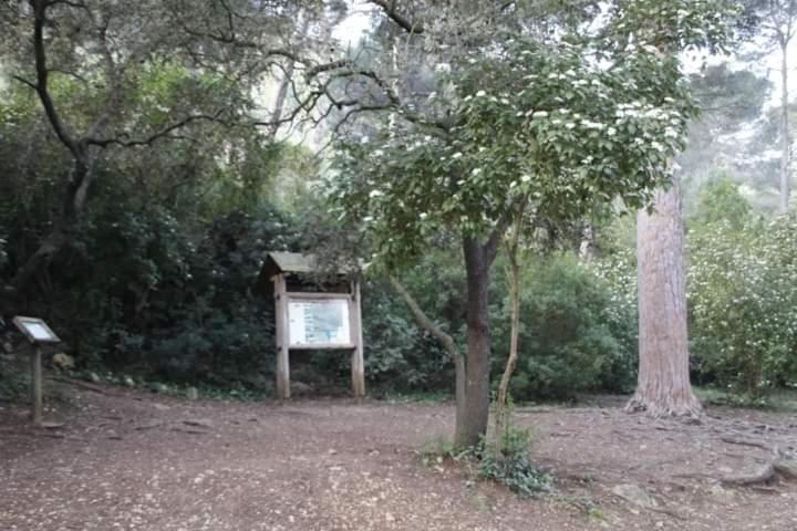 Casa Rural Ca Xelo Polinya de Xuquer Exterior photo